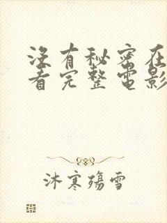 没有秘密在线观看完整电影