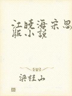 江晓海宋思雨正版小说