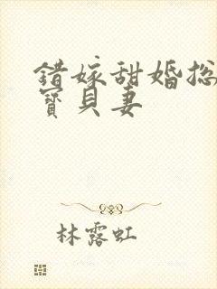 错嫁甜婚总裁的宝贝妻