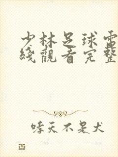 少林足球电影在线观看完整版免费