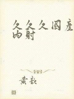 久久久国产三级内射