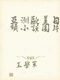 亚洲欧美日韩视频小说图片封面