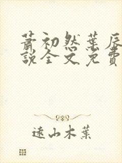 萧初然叶辰的小说全文免费阅读一封面