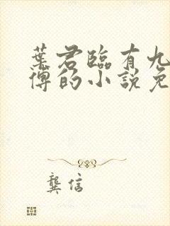 叶君临有九个师傅的小说免费