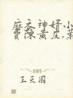 麻衣神婿小说免费陈黄皮,叶红鱼