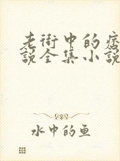 老街中的痞子小说全集小说