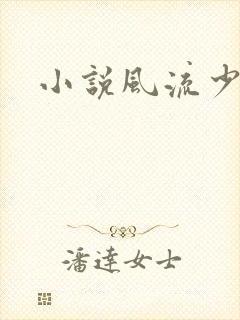 小说风流少妇封面