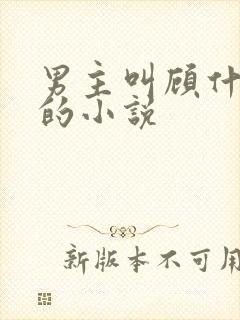 男主叫顾什么川的小说封面