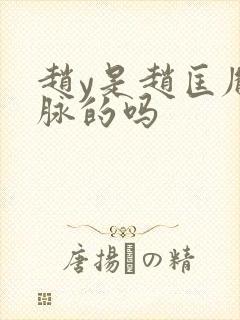 赵y是赵匡胤一脉的吗