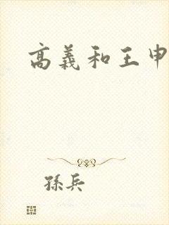 高义和王申小说