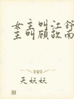 女主叫江舒棠男主叫顾政南的小说封面