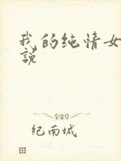 我的纯情女友小说