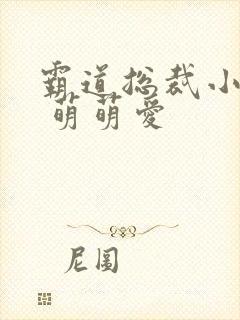 霸道总裁小娇妻 萌萌爱