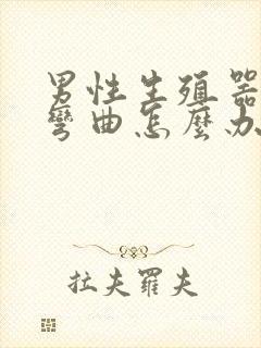 男性生殖器向右弯曲怎么办