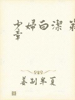 少妇白洁 第二章