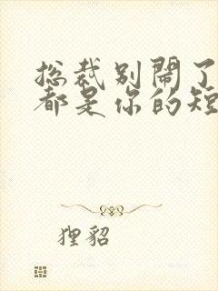 总裁别闹了孩子都是你的短剧免费观看全集