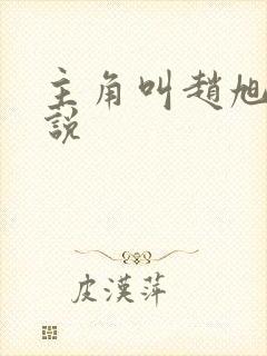 主角叫赵旭的小说