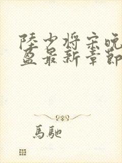 陆少将宋晚陆盈盈最新章节免费阅读