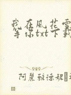 我在风花雪夜里等你txt下载