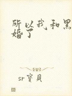 所以我和黑粉结婚了