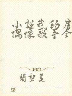 小说我的房东是偶像歌手全文阅读封面