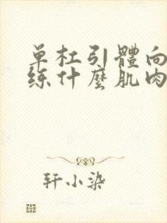 单杠引体向上是练什么肌肉的