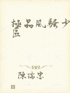 极品风骚少妇一区