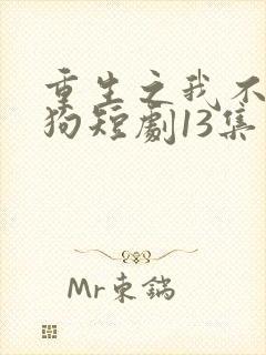 重生之我不是舔狗短剧13集