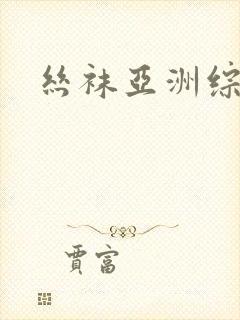 丝袜亚洲综合网