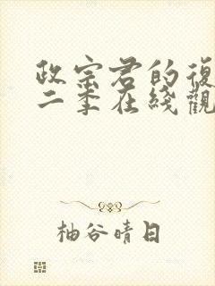 政宗君的复仇第二季在线观看