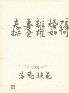 夫妻离婚孩子的抚养权如何判决