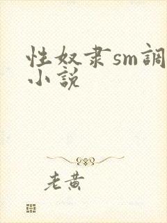 性奴隶sm调教小说封面