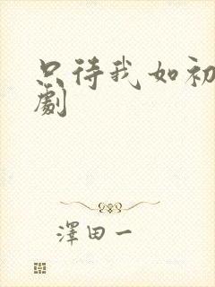 只待我如初心短剧