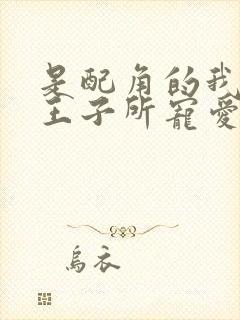 是配角的我,被王子所宠爱了