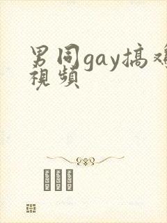 男同gay搞鸡视频