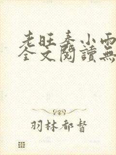 老旺秦小雨小说全文阅读无弹窗