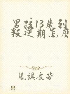 男孩13岁到了叛逆期怎么教