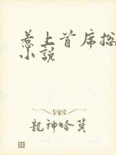 惹上首席总裁2小说