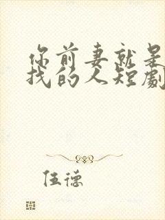 你前妻就是你要找的人短剧