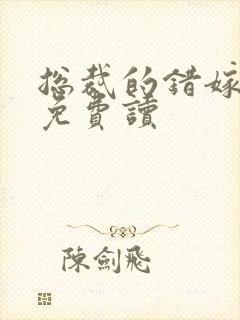 总裁的错嫁甜妻免费读封面