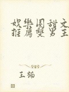 娱乐圈甜文小说推荐双男主