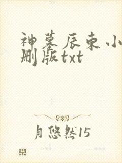 神墓辰东小说未删版txt