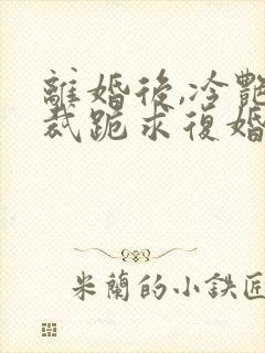 离婚后,冷艳总裁跪求复婚第23章