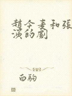 赵今麦和张凌赫演的剧