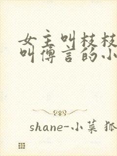 女主叫枝枝男主叫傅言的小说