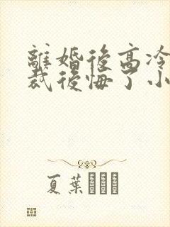 离婚后高冷女总裁后悔了小说笔趣