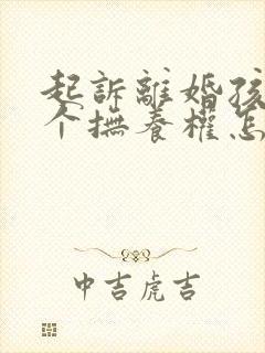 起诉离婚孩子两个抚养权怎么判