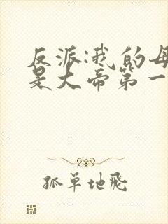 反派:我的母亲是大帝第一版主