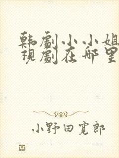 韩剧小小姐们电视剧在哪里看免费