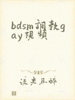 bdsm调教gay视频
